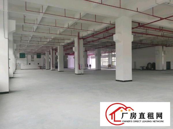  全新重工业厂房带红本出租