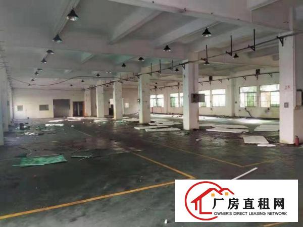  东坑镇村委标准厂房出租