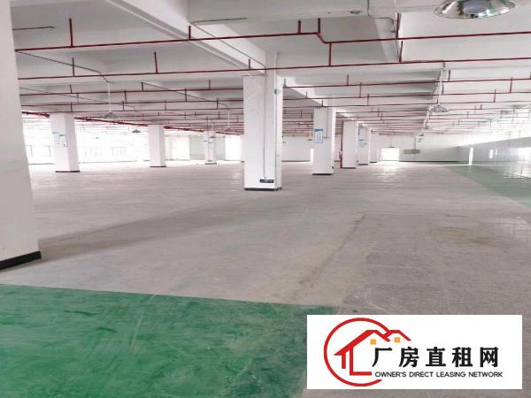  自建厂房出租2650平方可分租