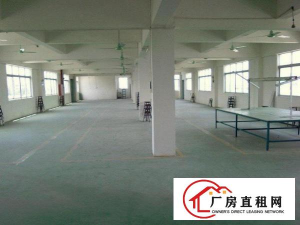  出租东坑镇东坑城区角社上联工业区