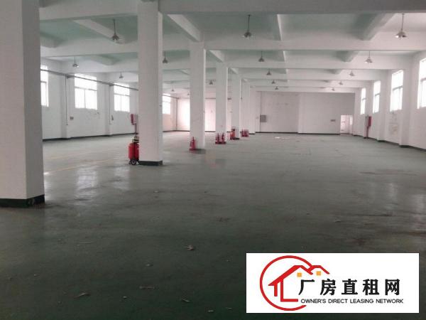 出租东坑镇东坑城区角社上联工业区
