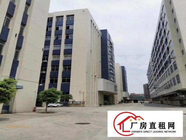  全新标准厂房分租一楼。