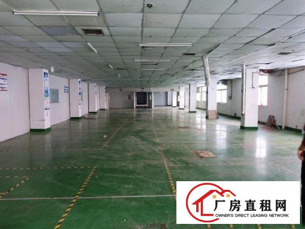  原房东标准厂房二楼出租