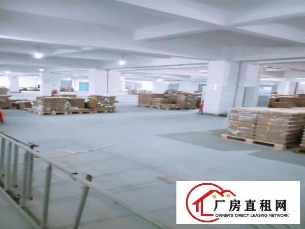  东坑镇红本工业厂房出租