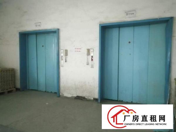  东坑镇红本工业厂房出租