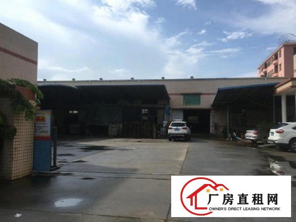  东坑独门独院单一层钢结构重工业厂房出租