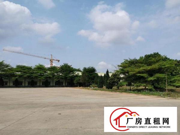  东坑角社独立园厂房出租