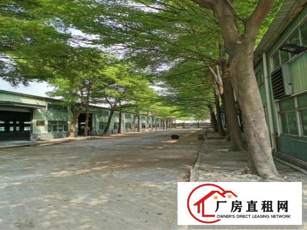  东坑角社独立园厂房出租