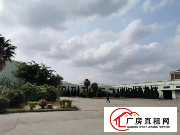  东坑角社独立园厂房出租