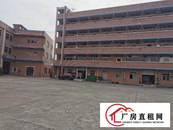  独门独院标准厂房招租空地大交通方便