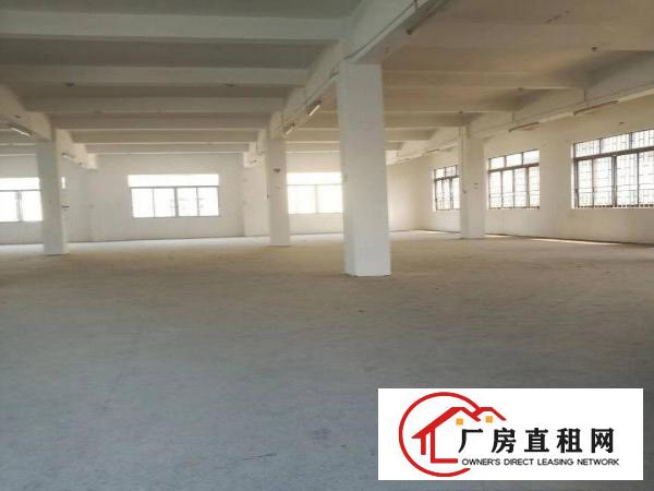  独门独院标准厂房招租空地大交通方便