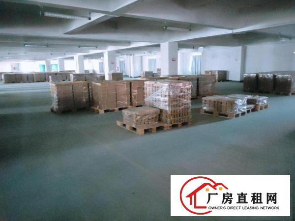  东坑政府附近正规工业区红本厂房2000,2500,3000平