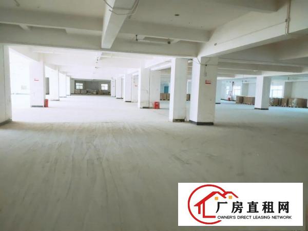  东坑政府附近正规工业区红本厂房2000,2500,3000平