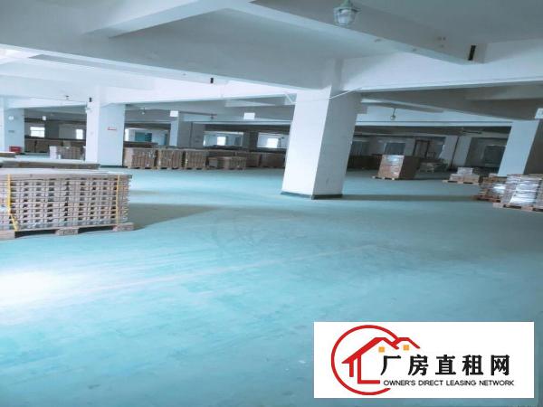  东坑政府附近正规工业区红本厂房2000,2500,3000平
