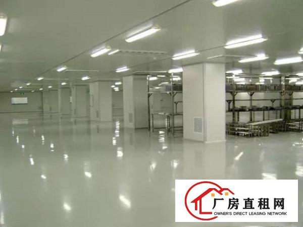  东坑镇新出原房东厂房4500平方，带无尘车间精装办公室