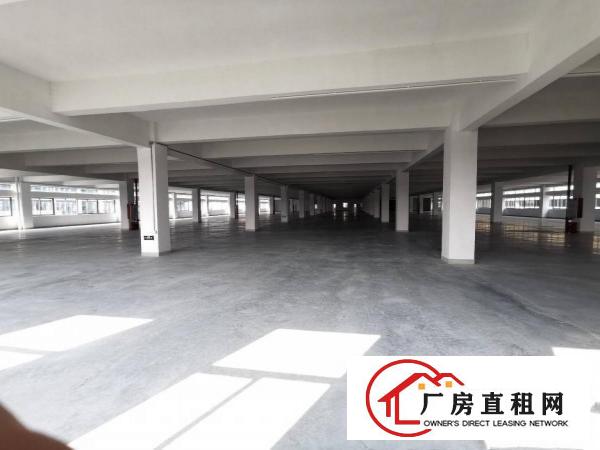  松山湖靠近东部快线厂房