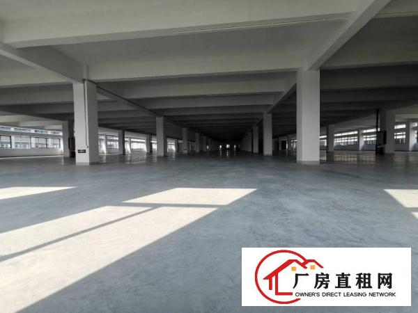  松山湖靠近东部快线厂房
