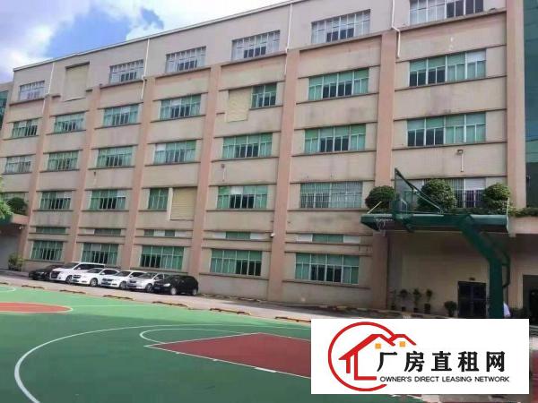  东莞市东坑镇带喷油喷粉喷涂注塑塑胶现成环评厂房出租