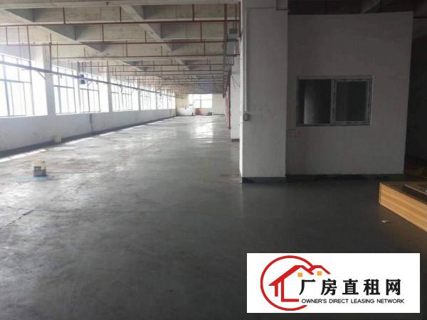  东莞市东坑镇带喷油喷粉喷涂注塑塑胶现成环评厂房出租