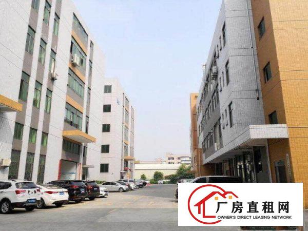  东坑镇分租全新独栋厂房一二楼各2400平方，带牛角
