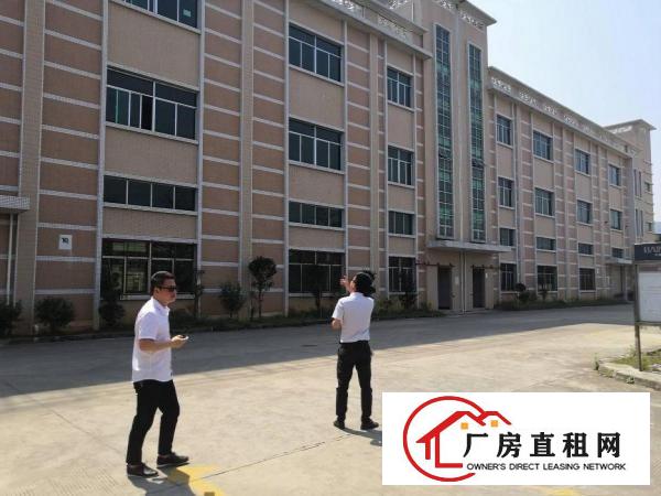  东坑镇工业区一楼标准厂房出租