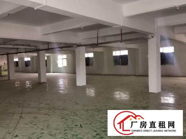  东坑镇全新地平漆厂房，周围无居民。交通便捷