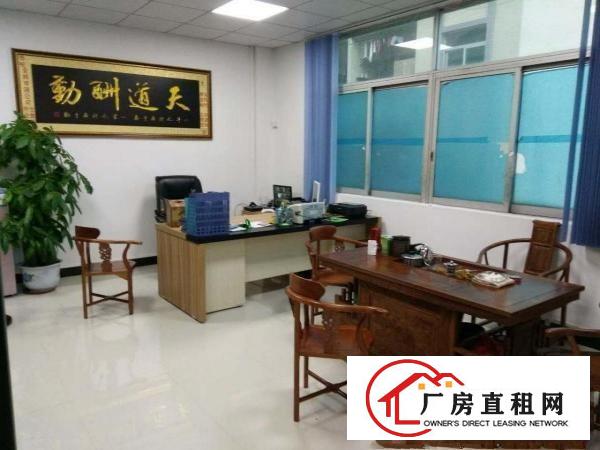  东莞市东坑镇新出单一层1300平方，滴水7.5米