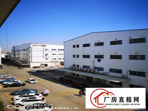  东坑彭屋带红本厂房300平，消防合格两台3吨标准货梯