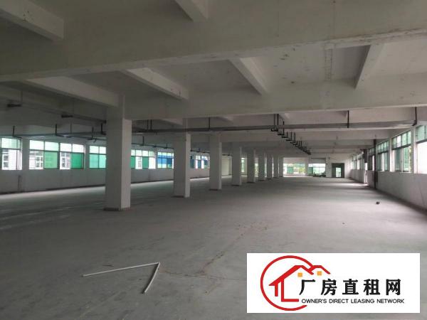  独院厂房，独栋办公楼，独栋宿舍，空地超大