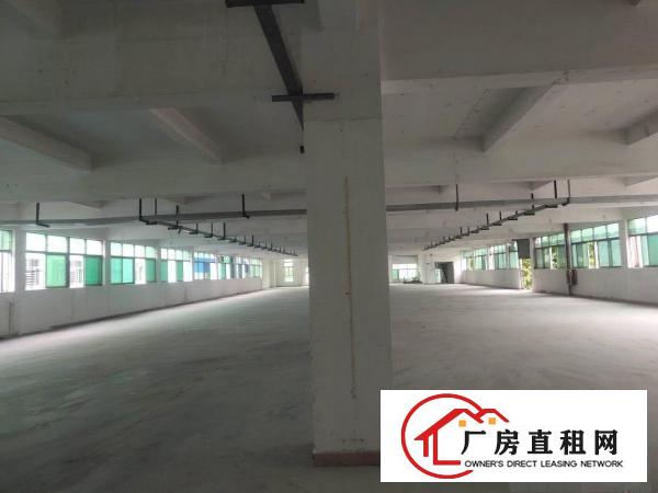  独院厂房，独栋办公楼，独栋宿舍，空地超大