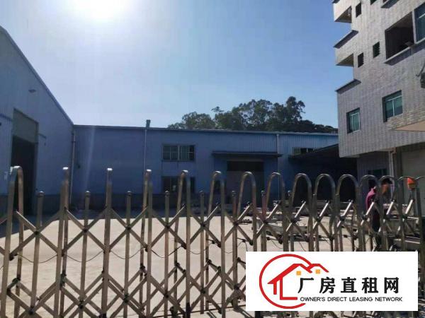  东坑镇原房东小独院单一层铁皮房900平方米，空地大