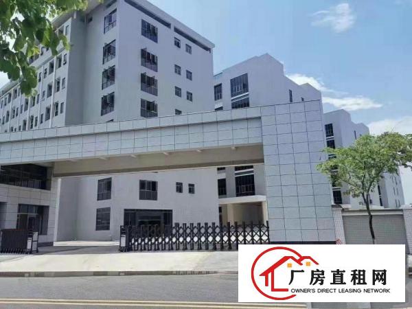  东坑彭屋带红本标准厂房800平带现成办公室，消防合格可办环评