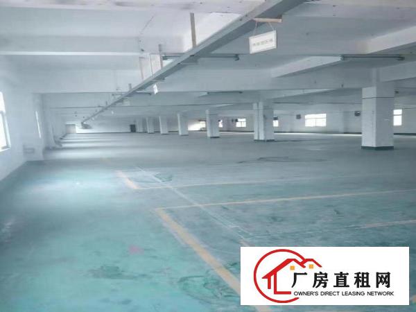  东坑彭屋带红本标准厂房800平带现成办公室，消防合格可办环评