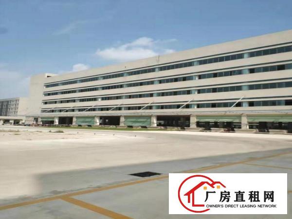  东坑红本厂房新地坪200,400,600,800,1000平