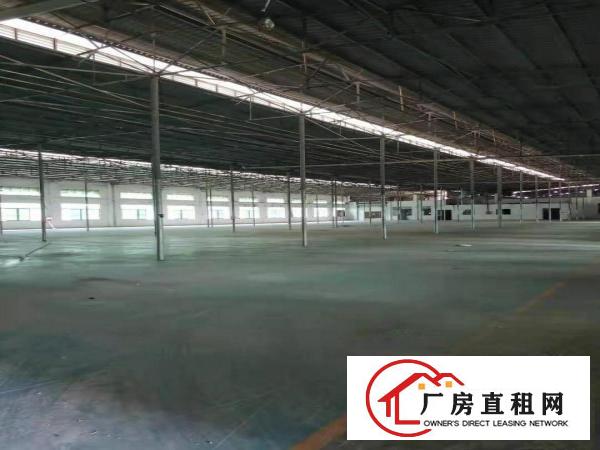  东坑红本厂房新地坪200,400,600,800,1000平