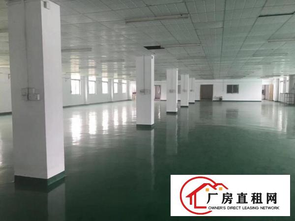  东坑红本厂房新地坪200,400,600,800,1000平
