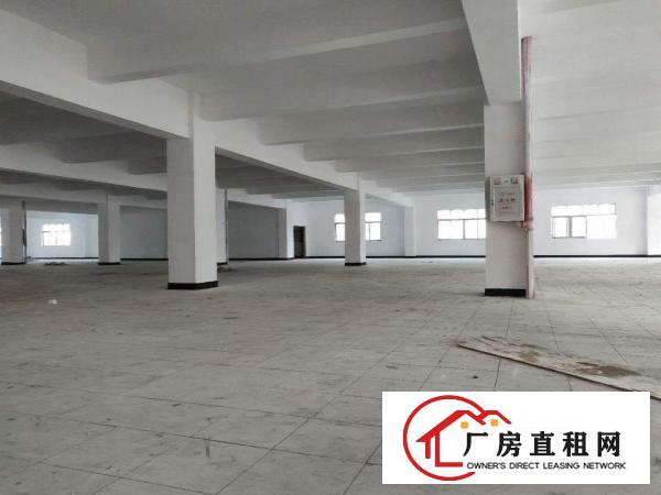  标准独院，独栋厂房13000平配人才宿舍2000平，独立管理