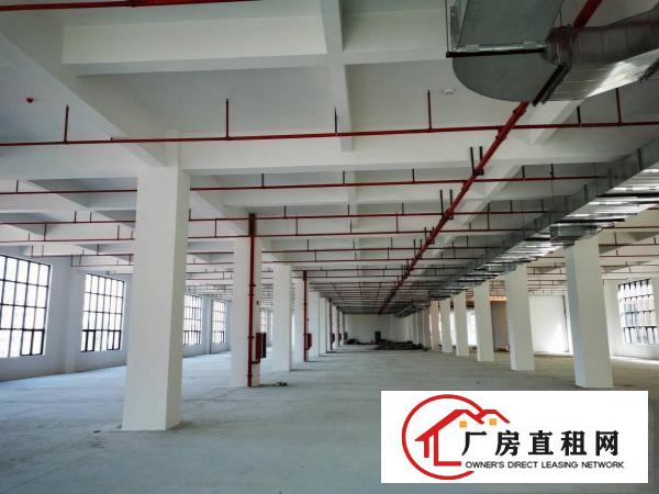  东坑红本厂房出租单层面积4188平分租一楼7米高工业用地