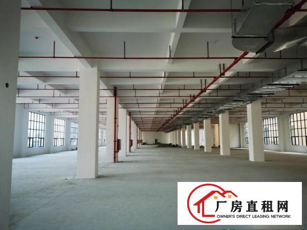  东坑红本厂房出租单层面积4188平分租一楼7米高工业用地