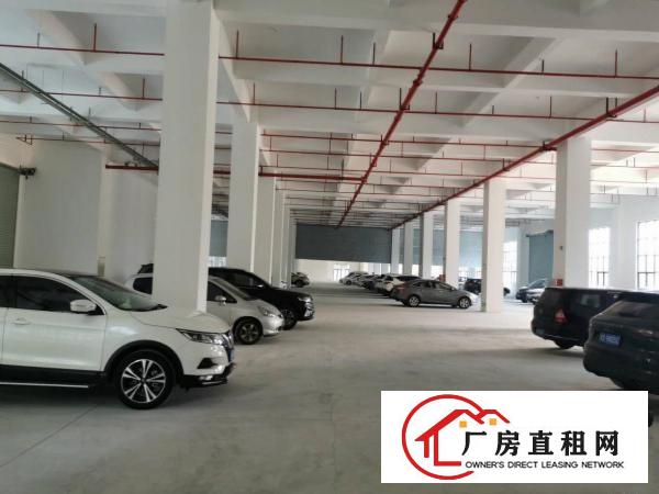  东坑红本厂房出租单层面积4188平分租一楼7米高工业用地