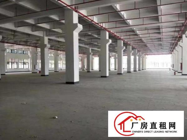  东坑全新标准工业现成喷粉喷油注塑印刷丝印抽粒等环评