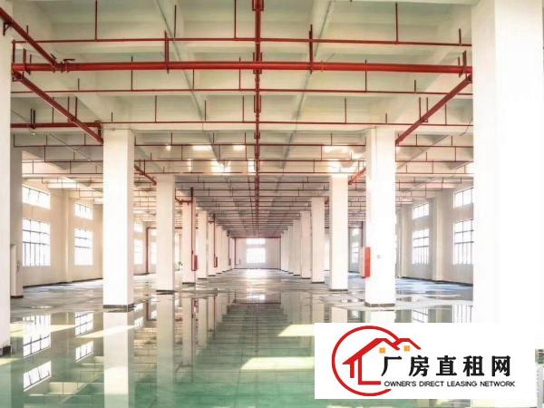  东坑全新标准工业现成喷粉喷油注塑印刷丝印抽粒等环评