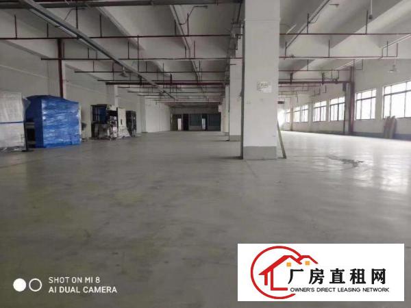  东坑全新标准工业现成喷粉喷油注塑印刷丝印抽粒等环评