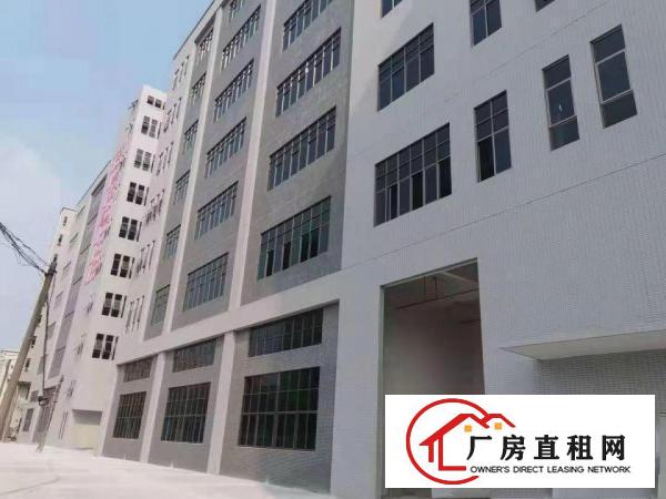  东坑迎宾路新空置厂房现成绿地漆，带现成办公室带货梯及消防喷淋