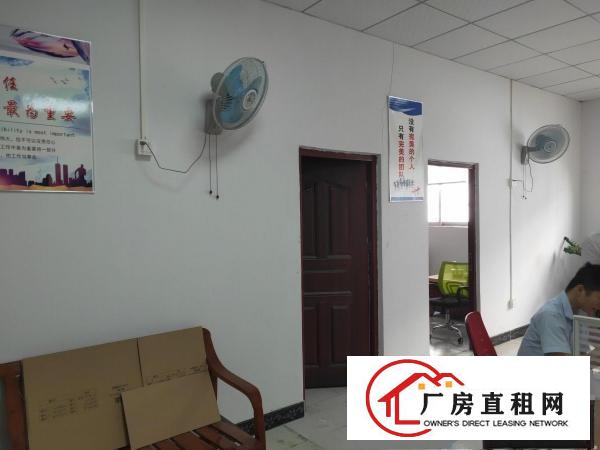  东坑迎宾路新空置厂房现成绿地漆，带现成办公室带货梯及消防喷淋