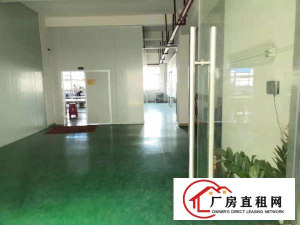  （实际面积）东坑镇政府独门独院9600平方厂房出租