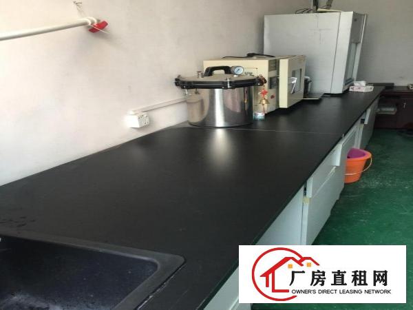 优质地段厂房出租价格超实惠中介勿扰