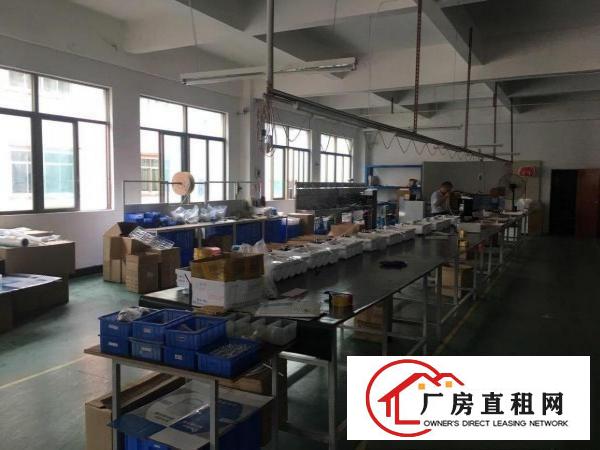  优质地段厂房出租价格超实惠中介勿扰