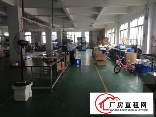 优质地段厂房出租价格超实惠中介勿扰