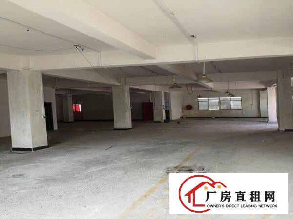  寮步下令贝附近独栋厂房出租
